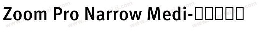 Zoom Pro Narrow Medi字体转换